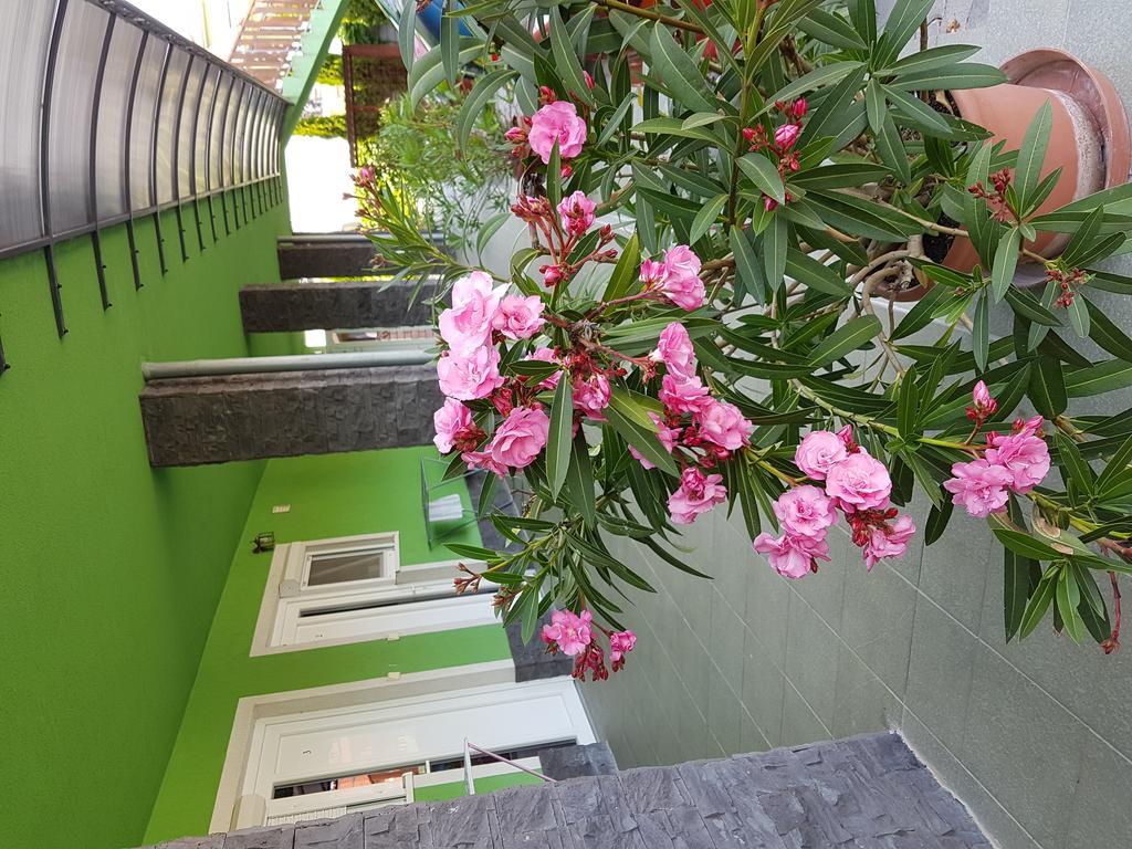 Apartman Taktik Veľký Meder Dış mekan fotoğraf